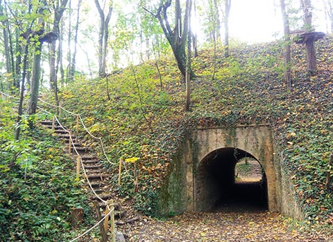 parc fort de vancia vanciaventure lyon actualités blog