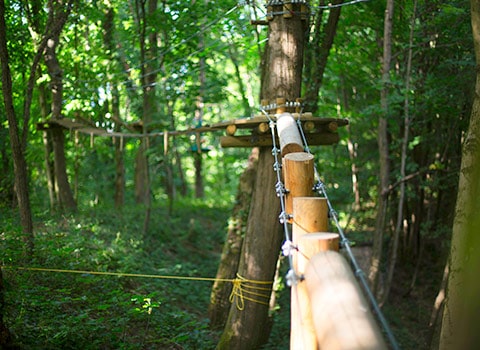 parcours aventure accrobranche lyon vanciaventure blog actualités