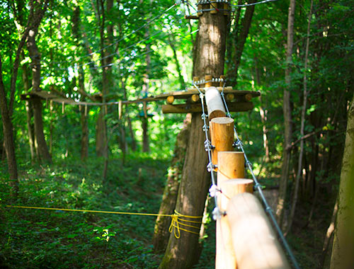 accrobranche arbre lyon vanciaventure parc aventure