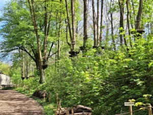 forêt et parcours accrobranche à Lyon