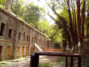 foret et fort de vancia