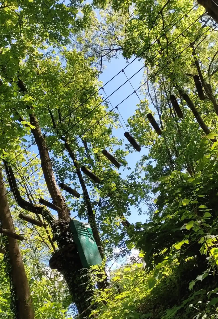 parcours accrobranche dans une forêt