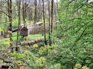 parcours accrobranche au milieu de la forêt à rillieux la pape