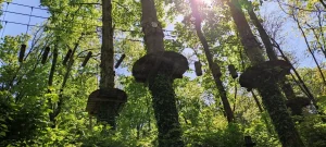 plateforme de parcours accrobranche au milieu de la végétation