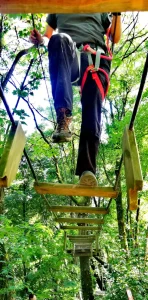 participant traverse un parcours accrobranche