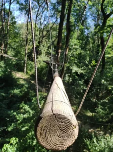 troncs fuyants dans un parcours accrobranche lyon
